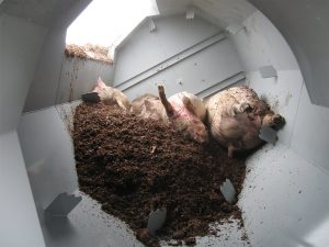 Compostage_ferme_mortalites_porc_brome_compost_composting_farm_mortalities