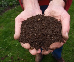 Vers une gestion durable des résidus verts | Working towards a sustainable management of green waste in Québec