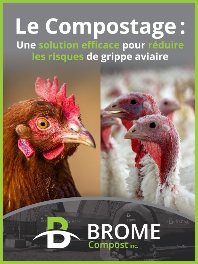Le compostage une colution efficace pour réduire les risques de grippe avaiaire