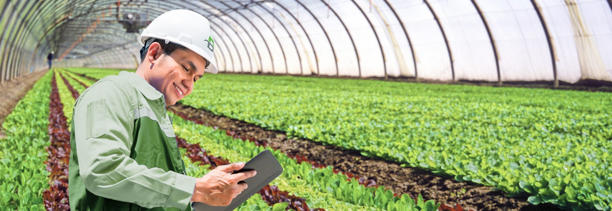 Services for Industrial Composting Brome Compost inc.